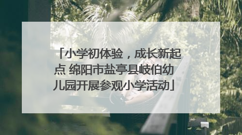 小学初体验，成长新起点 绵阳市盐亭县岐伯幼儿园开展参观小学活动