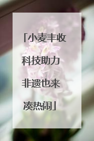 小麦丰收 科技助力 非遗也来凑热闹