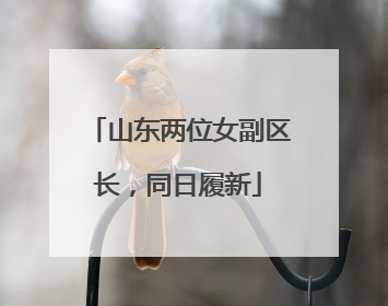 山东两位女副区长，同日履新