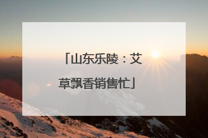 山东乐陵：艾草飘香销售忙