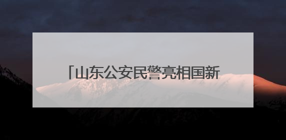 山东公安民警亮相国新办，24年从警生涯陈强用警徽照亮国际维和路