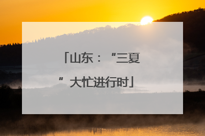 山东：“三夏”大忙进行时