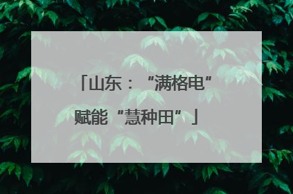 山东：“满格电”赋能“慧种田”