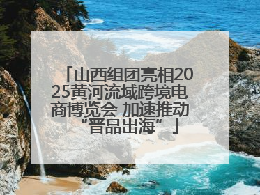 山西组团亮相2025黄河流域跨境电商博览会 加速推动“晋品出海”