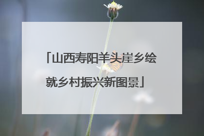 山西寿阳羊头崖乡绘就乡村振兴新图景