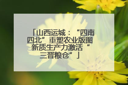 山西运城：“四南四北”重塑农业版图 新质生产力激活“三晋粮仓”