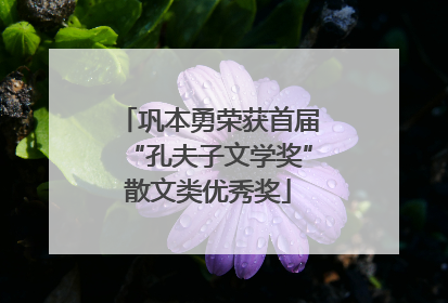 巩本勇荣获首届“孔夫子文学奖”散文类优秀奖