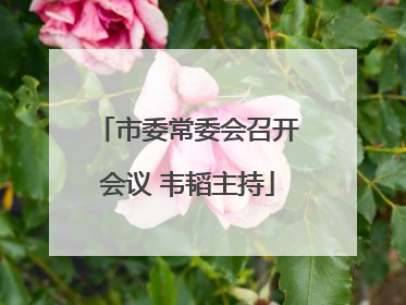 市委常委会召开会议 韦韬主持