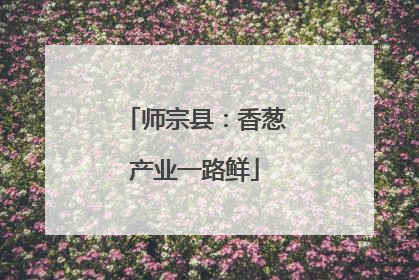 师宗县：香葱产业一路鲜