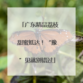 广东精品荔枝甜蜜抵达！“豫”见就别错过