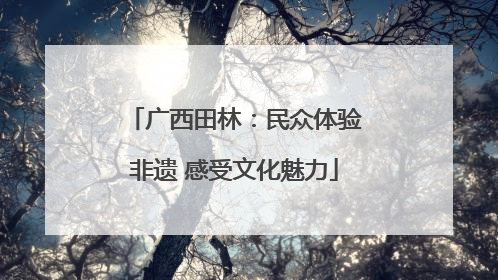 广西田林：民众体验非遗 感受文化魅力