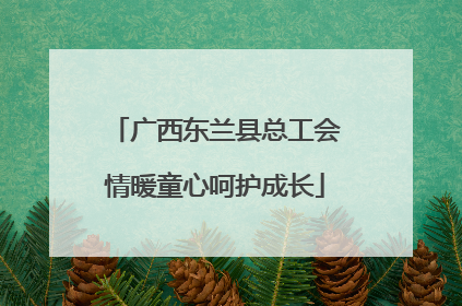 广西东兰县总工会情暖童心呵护成长