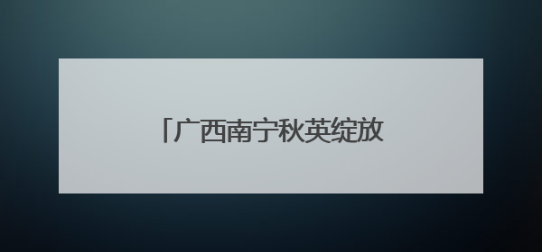 广西南宁秋英绽放 浪漫花海醉游人
