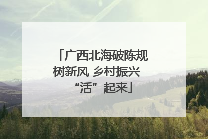 广西北海破陈规树新风 乡村振兴“活”起来