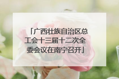 广西壮族自治区总工会十三届十二次全委会议在南宁召开