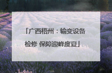 广西梧州：输变设备检修 保障迎峰度夏