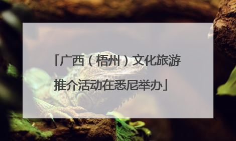 广西（梧州）文化旅游推介活动在悉尼举办