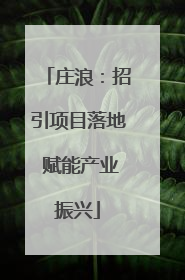 庄浪：招引项目落地 赋能产业振兴