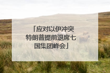 应对以伊冲突 特朗普提前退席七国集团峰会