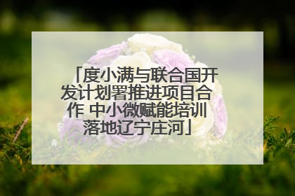 度小满与联合国开发计划署推进项目合作 中小微赋能培训落地辽宁庄河