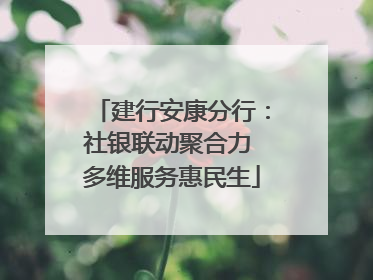 建行安康分行：社银联动聚合力 多维服务惠民生