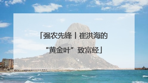 强农先锋丨崔洪海的“黄金叶”致富经
