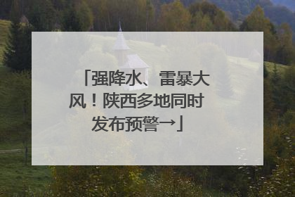 强降水、雷暴大风！陕西多地同时发布预警→