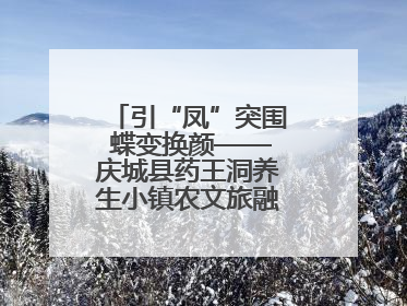 引“凤”突围 蝶变换颜——庆城县药王洞养生小镇农文旅融合发展纪实