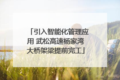 引入智能化管理应用 武松高速杨家湾大桥架梁提前完工