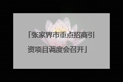 张家界市重点招商引资项目调度会召开