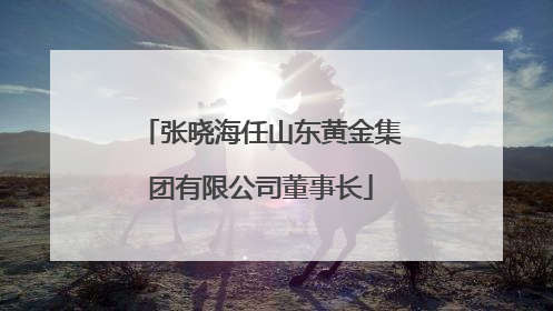 张晓海任山东黄金集团有限公司董事长