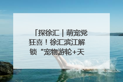 探徐汇｜萌宠党狂喜！徐汇滨江解锁“宠物游轮+天台乐园”双玩法