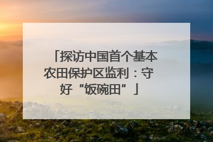 探访中国首个基本农田保护区监利：守好“饭碗田”