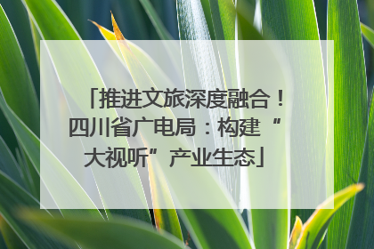 推进文旅深度融合！四川省广电局：构建“大视听”产业生态