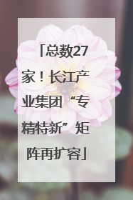总数27家！长江产业集团“专精特新”矩阵再扩容