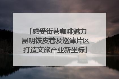 感受街巷咖啡魅力 昆明铁皮巷及巡津片区打造文旅产业新坐标