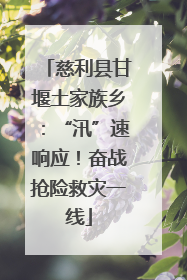 慈利县甘堰土家族乡：“汛”速响应！奋战抢险救灾一线