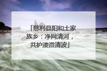 慈利县阳和土家族乡：净网清河，共护溇澧清波