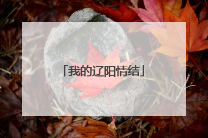 我的辽阳情结