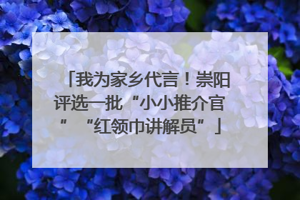我为家乡代言！崇阳评选一批“小小推介官”“红领巾讲解员”