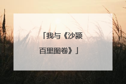 我与《沙颍百里图卷》