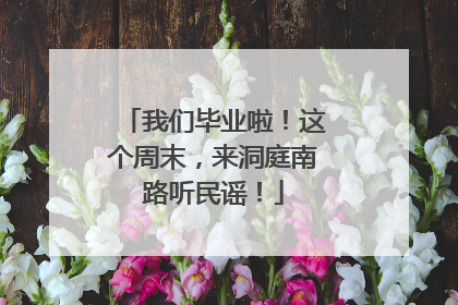 我们毕业啦！这个周末，来洞庭南路听民谣！