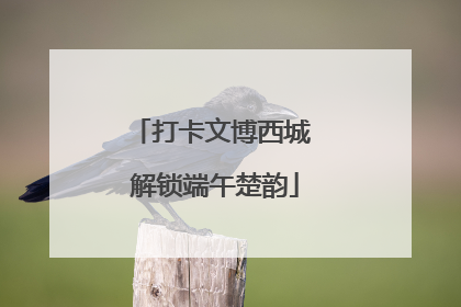 打卡文博西城 解锁端午楚韵