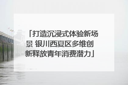 打造沉浸式体验新场景 银川西夏区多维创新释放青年消费潜力