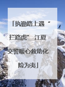 执勤路上遇“拦路虎” 江夏交警暖心救助化险为夷