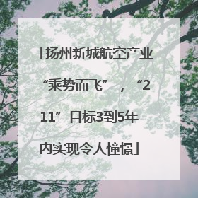 扬州新城航空产业“乘势而飞”，“211”目标3到5年内实现令人憧憬