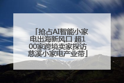 抢占AI智能小家电出海新风口 超100家跨境卖家探访慈溪小家电产业带