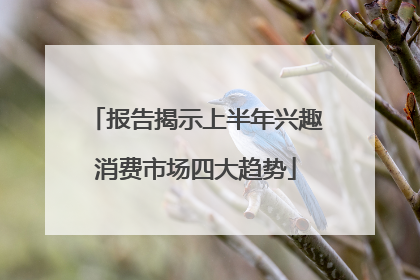 报告揭示上半年兴趣消费市场四大趋势