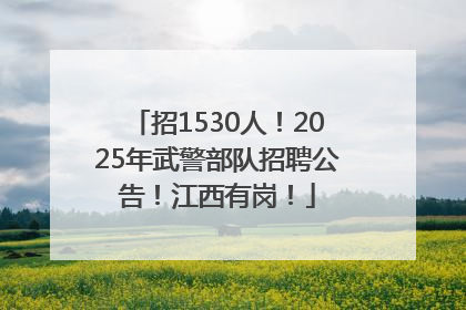 招1530人！2025年武警部队招聘公告！江西有岗！