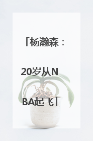杨瀚森：20岁从NBA起飞